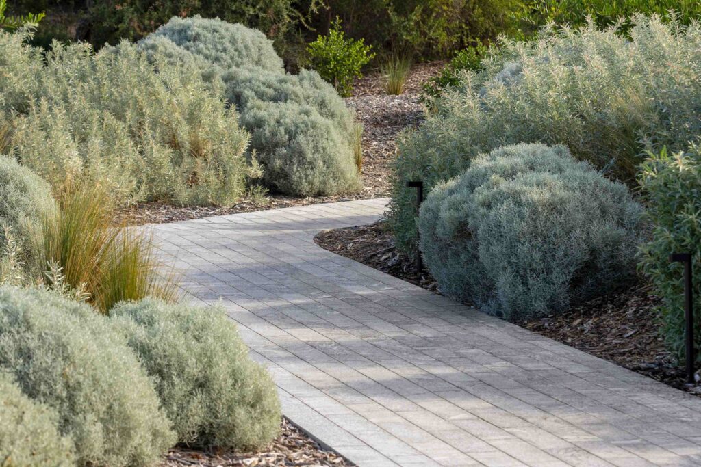 A serene, winding stone path supplied by Eigen Stones, meandering through the silver-toned native gardens of the Alba landscape.