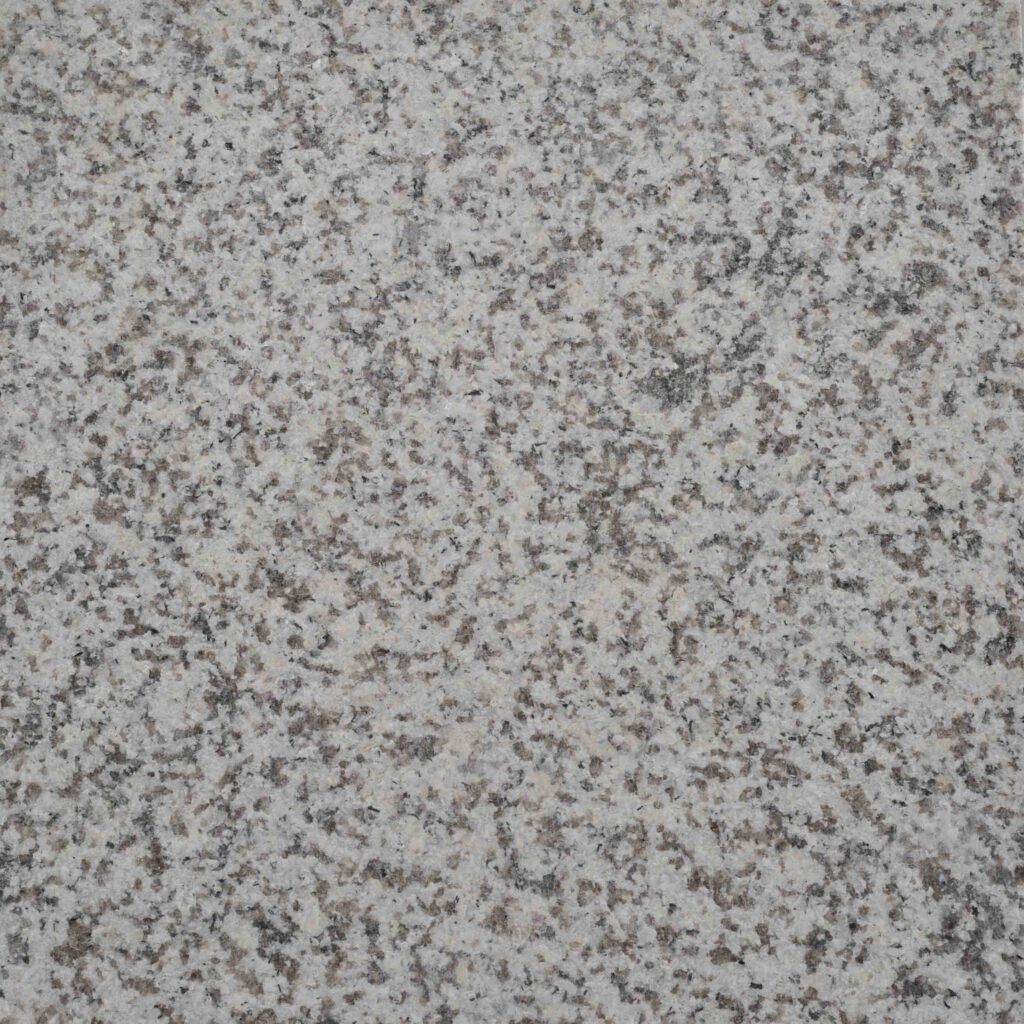 Feline_Exfoliated.jpg: A close-up texture shot of the Feline Flamed paver, highlighting its naturally rugged, non-slip surface and classic 'salt and pepper' character.