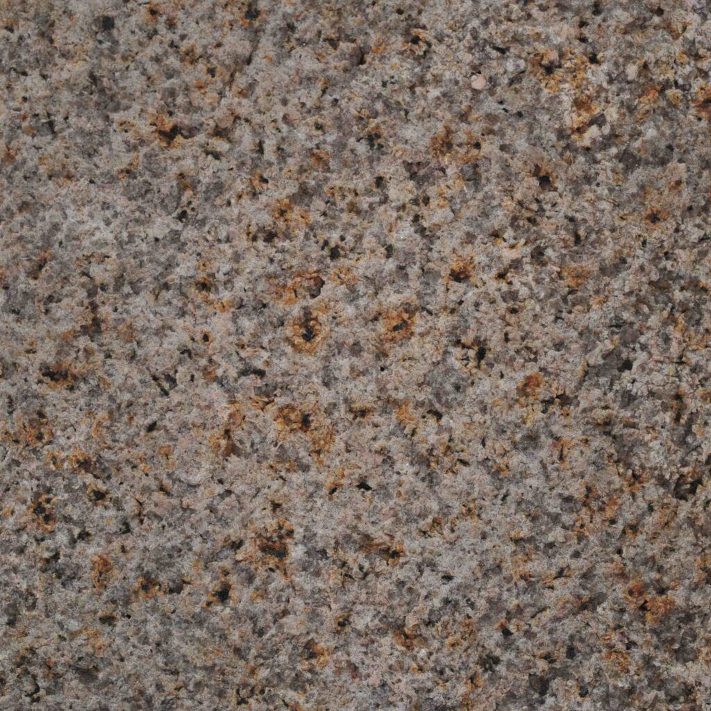 Puma_BH.jpg: A detailed macro photograph of the Puma Bush Hammered stone paver, showcasing its rugged texture and rich, earthy blend of grey and ochre tones.